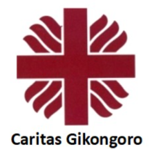 Caritas Gikongoro logo