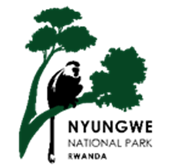 Nyungwe Management Company Ltd